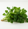 Flat-Leaf Parsley