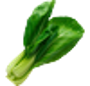 Lamb Lettuce (Mâche)