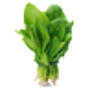 Spinach