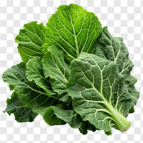 Collard Greens