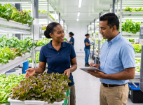 Buyer discovering fresh produce