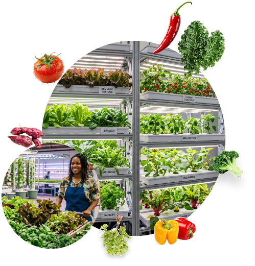 farm with a woman tending plants
