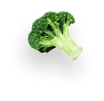 Fresh green broccoli