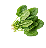 Fresh leafy greens