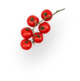 Tomato